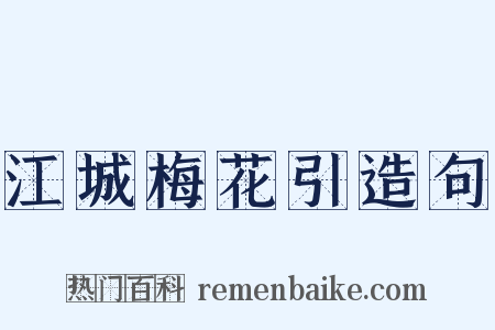江城梅花引造句是什么意思的图片